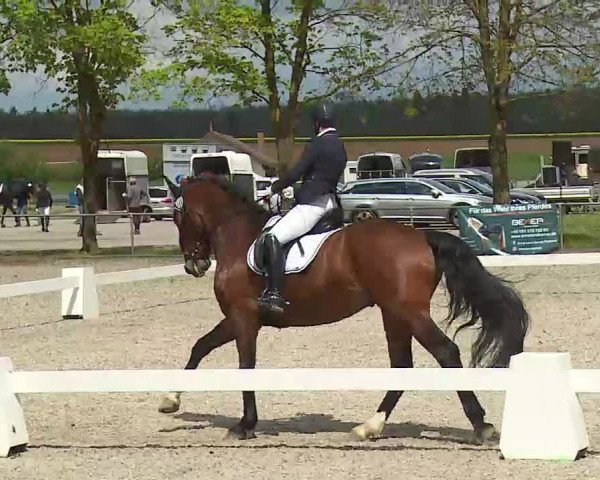 Reitturnier Rot am See- Musdorf 2021