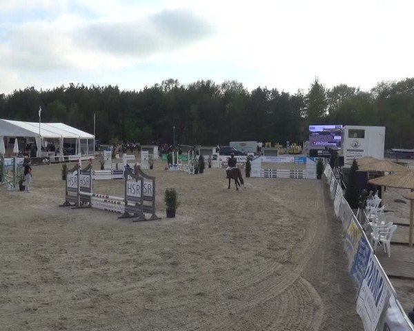 Reitturnier Rastede-Nethen 2021
