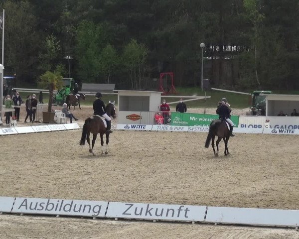 Reitturnier Rastede-Nethen 2021