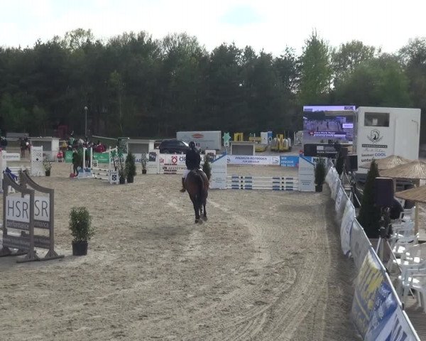 Reitturnier Rastede-Nethen 2021