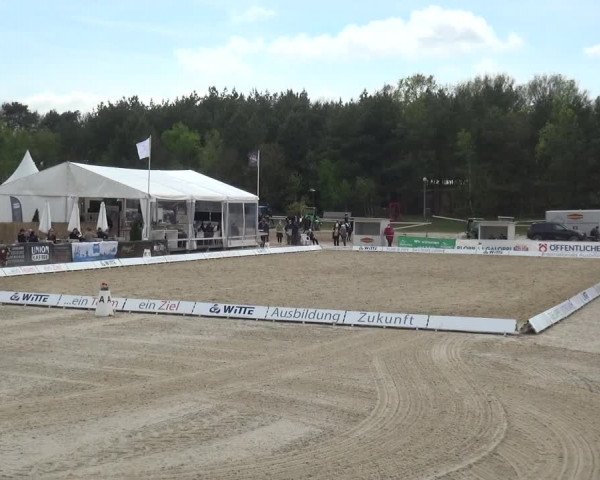 Reitturnier Rastede-Nethen 2021