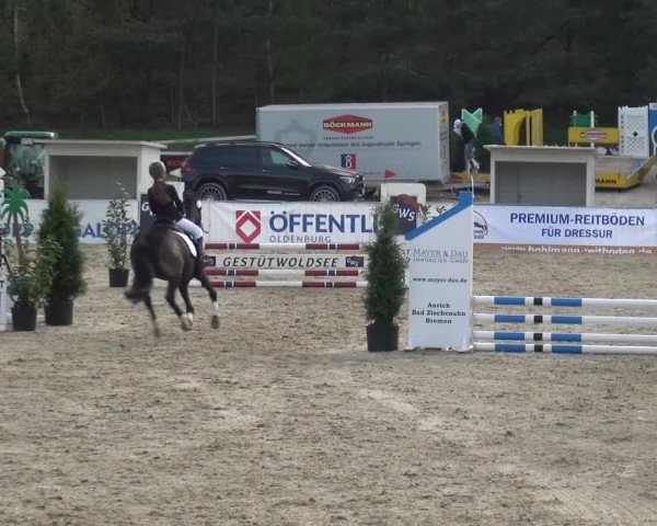 Reitturnier Rastede-Nethen 2021