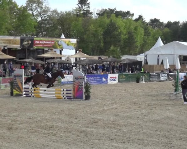 Reitturnier Rastede-Nethen 2021