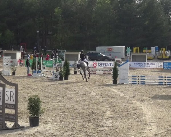 Reitturnier Rastede-Nethen 2021