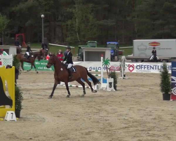 Reitturnier Rastede-Nethen 2021