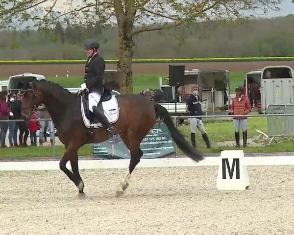 Reitturnier Rot am See- Musdorf 2021