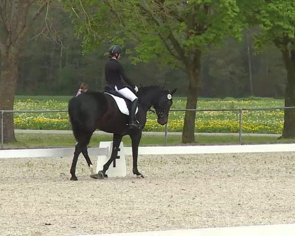 Reitturnier Rot am See- Musdorf 2021