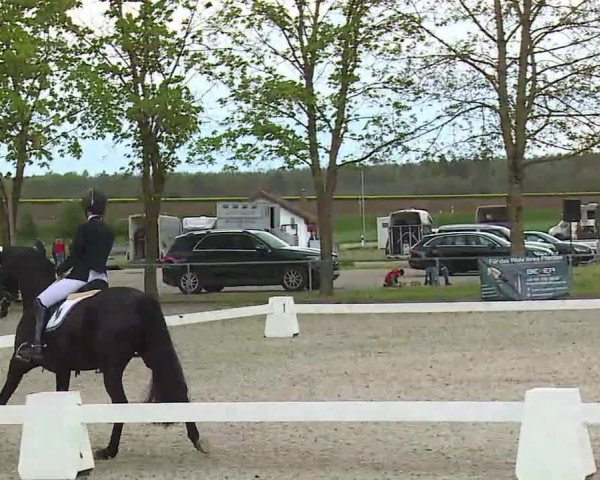 Reitturnier Rot am See- Musdorf 2021
