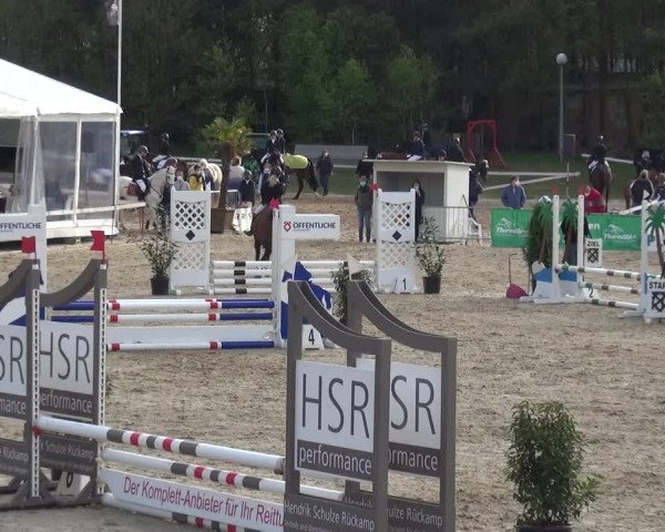 Reitturnier Rastede-Nethen 2021