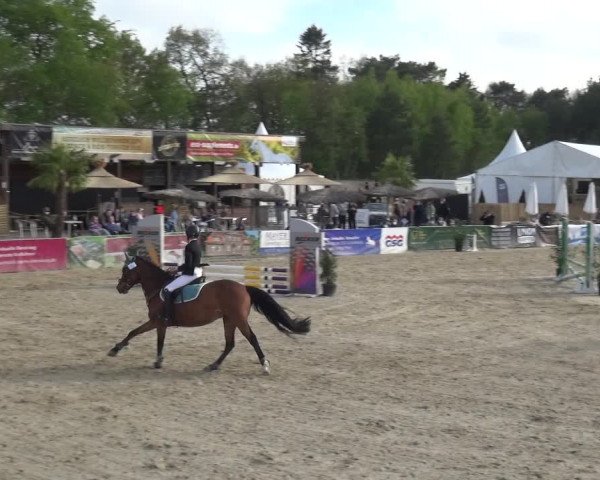 Reitturnier Rastede-Nethen 2021