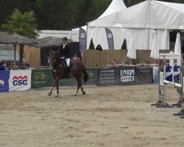 Reitturnier Rastede-Nethen 2021