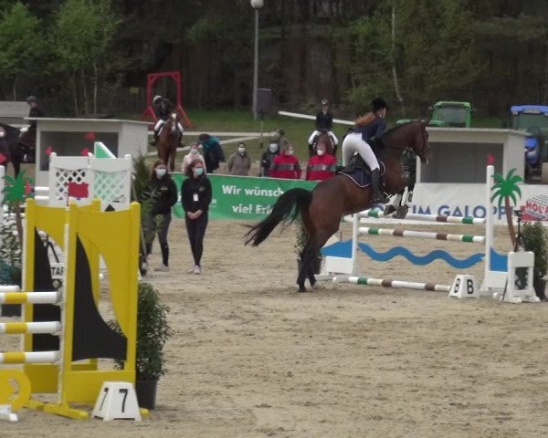 Reitturnier Rastede-Nethen 2021