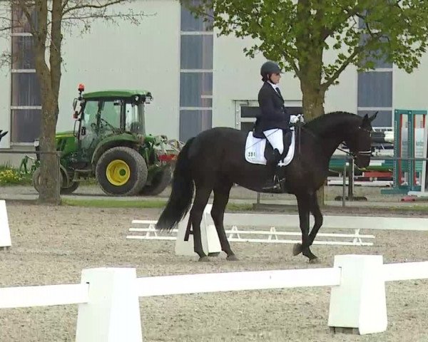 Reitturnier Rot am See- Musdorf 2021