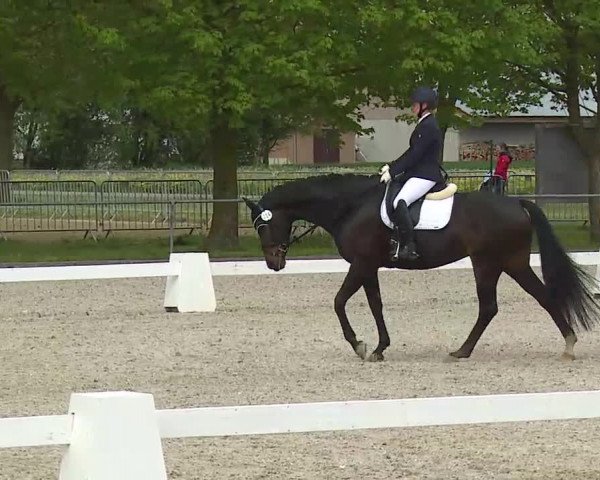 Reitturnier Rot am See- Musdorf 2021