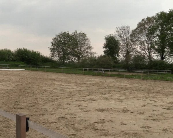 Reitturnier Laer 2021
