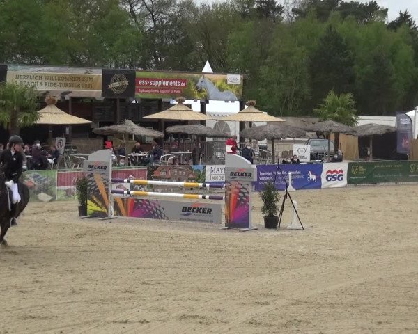 Reitturnier Rastede-Nethen 2021