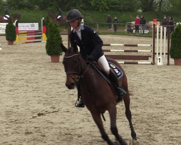 Reitturnier Laer 2021