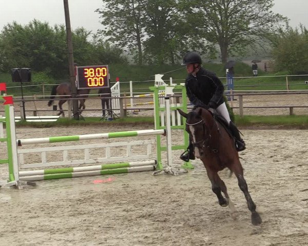 Reitturnier Laer 2021