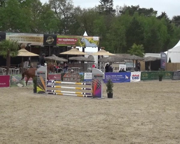 Reitturnier Rastede-Nethen 2021