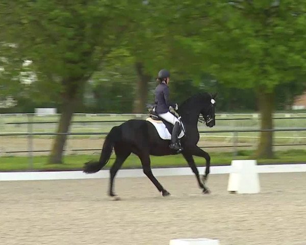 Reitturnier Rot am See- Musdorf 2021