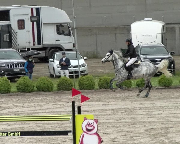 Reitturnier Basel Schänzli 2021