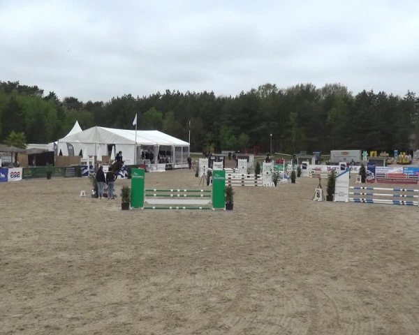 Reitturnier Rastede-Nethen 2021