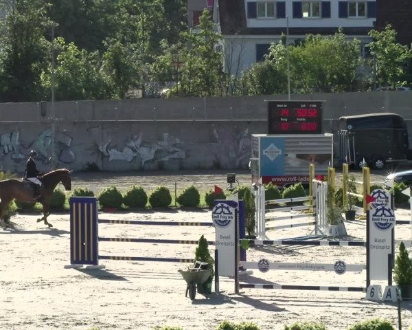 Reitturnier Basel Schänzli 2021