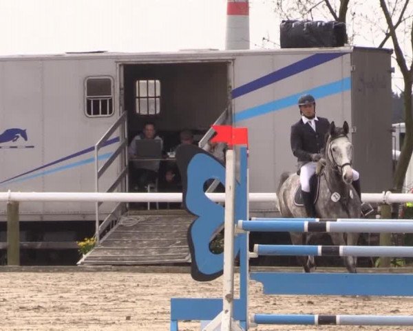 jumper Big Charly 2 (Hanoverian, 2008, from Charilan)