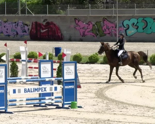 Reitturnier Basel Schänzli 2021