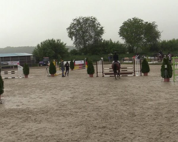 Reitturnier Laer 2021
