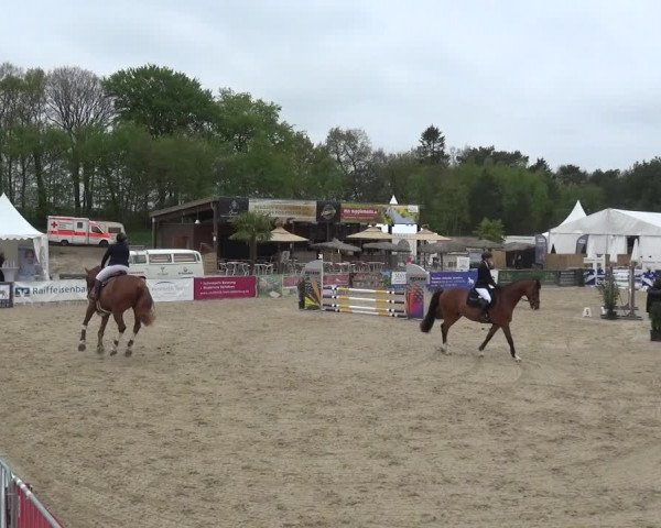 Reitturnier Rastede-Nethen 2021