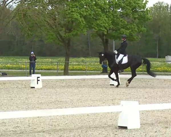 Reitturnier Rot am See- Musdorf 2021