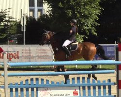 jumper Carneby 6 (Holsteiner, 2004, from Clearway)