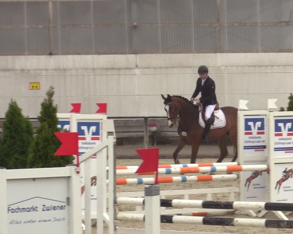 Reitturnier Laer 2021