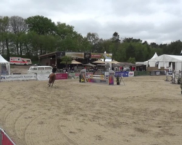 Reitturnier Rastede-Nethen 2021