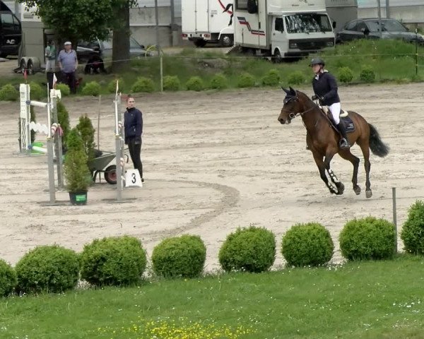 Reitturnier Basel Schänzli 2021