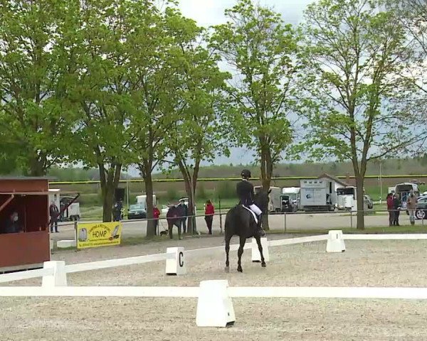 Reitturnier Rot am See- Musdorf 2021