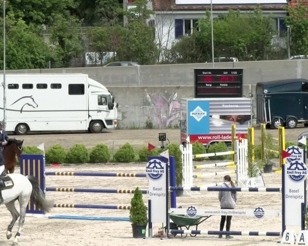 Reitturnier Basel Schänzli 2021