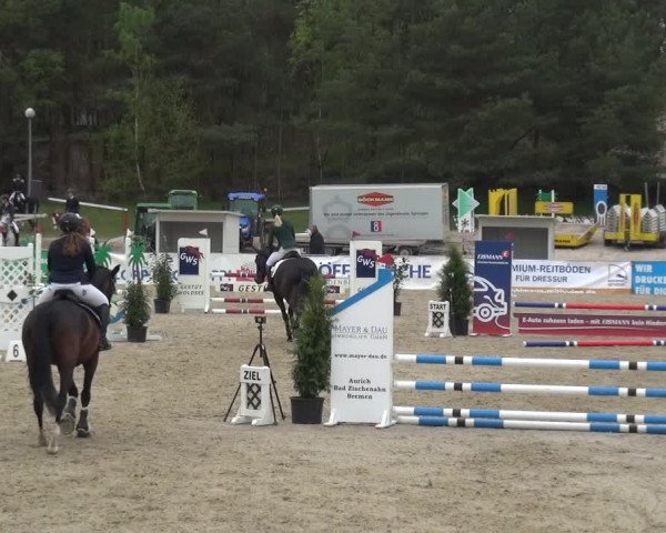 Reitturnier Rastede-Nethen 2021