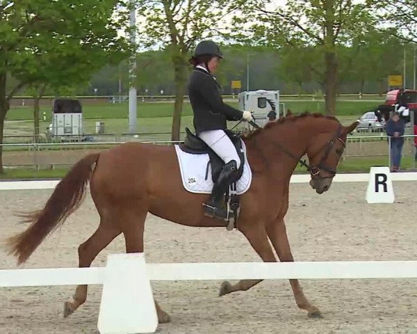 Reitturnier Rot am See- Musdorf 2021