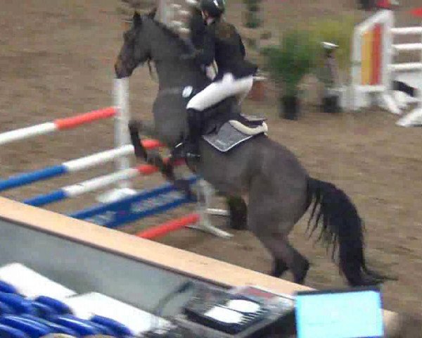 jumper Landsturm 14 (Brandenburg, 1998, from Landrebell)
