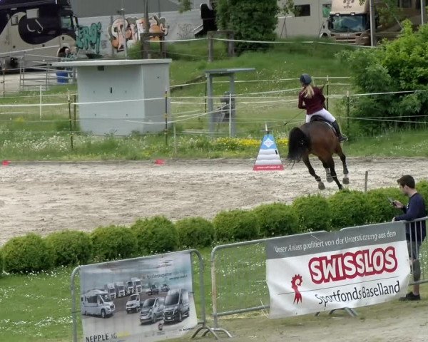 Reitturnier Basel Schänzli 2021