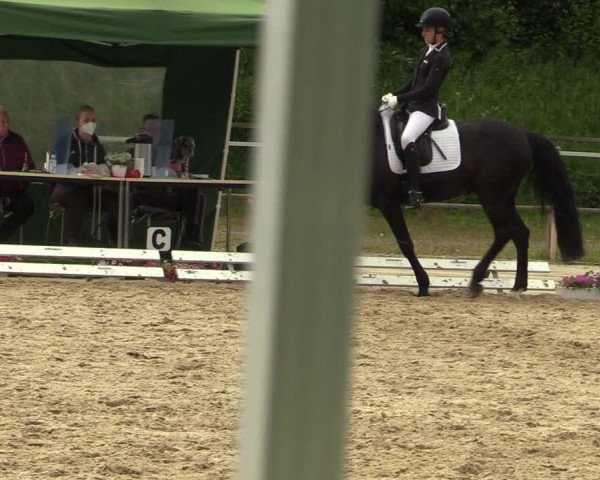 Reitturnier Laer 2021