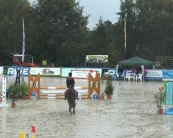 Fattrice Lotta 112 (KWPN (Warmblood olandese), 2004, di Tenerife)