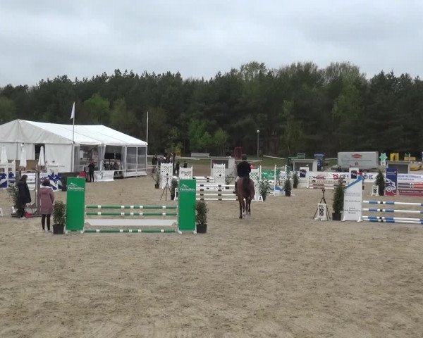 Reitturnier Rastede-Nethen 2021