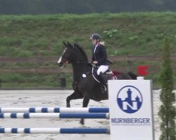 jumper Una Roza (KWPN (Royal Dutch Sporthorse), 2001, from Numero Uno)
