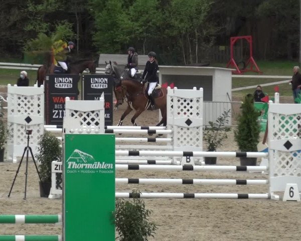 Reitturnier Rastede-Nethen 2021