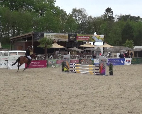Reitturnier Rastede-Nethen 2021