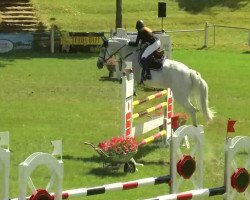 jumper Scarlett 583 (KWPN (Royal Dutch Sporthorse), 1999, from Indorado)