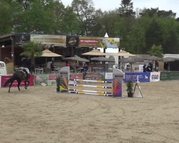 Reitturnier Rastede-Nethen 2021